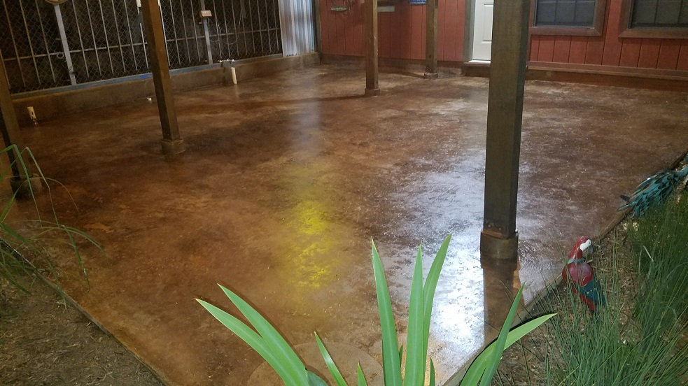 sealed concrete floors